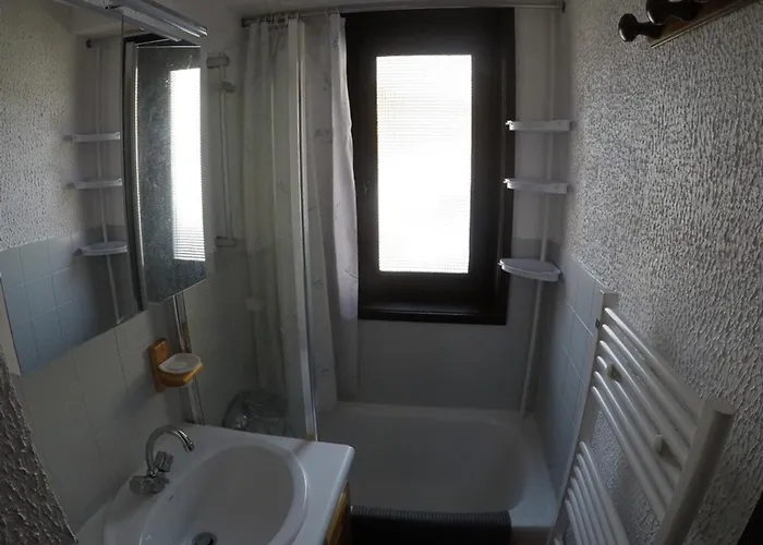 4 Pers Avec Balcon, Animaux Et Parking - Fr-1-676-81 *